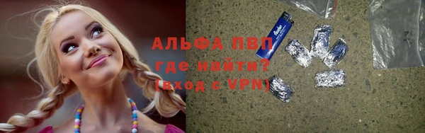 прущие грибы Абинск