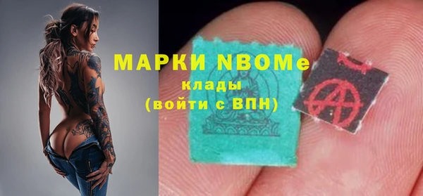 индика Абаза
