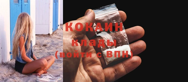 индика Абаза