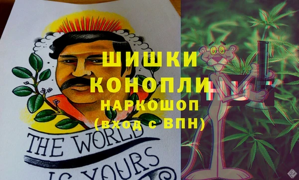 прущие грибы Абдулино
