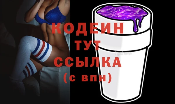 индика Абаза