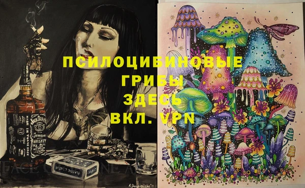 прущие грибы Абинск