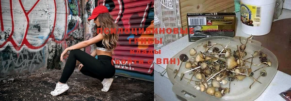 прущие грибы Абдулино