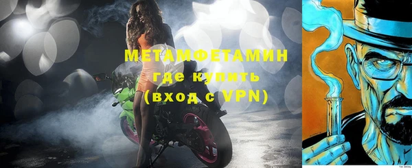 индика Абаза