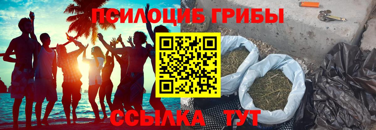 Псилоцибиновые грибы прущие грибы Астрахань