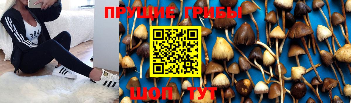 Псилоцибиновые грибы Magic Shrooms  Вход с VPN  Астрахань 