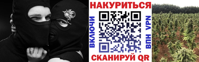 Бошки марихуана гибрид Астрахань